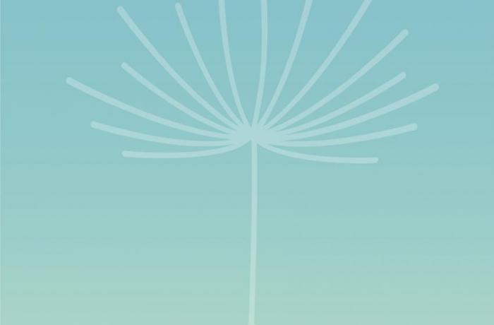 trauerfall-id-4.jpg trauerfall-id-4.jpg